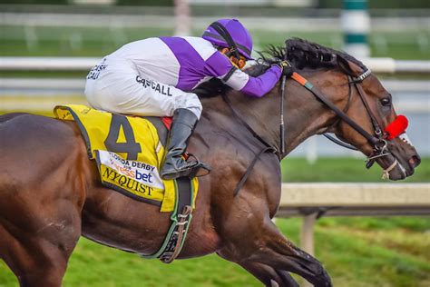 florida derby entries|Florida Derby 2021 Entries & Post Positions.